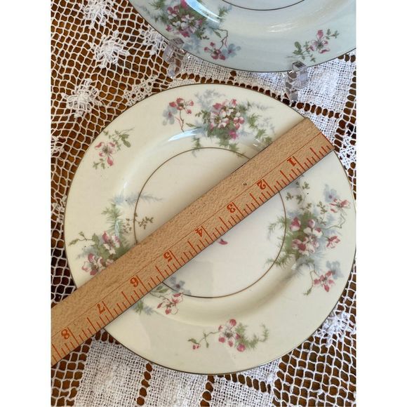 Theodore Haviland New York bread and butter plates. Apple Blossom pattern set of - Picture 3 of 5